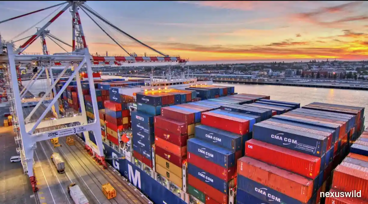 Australia’s Chalmers Urges Middle Powers to Strengthen Supply Chains