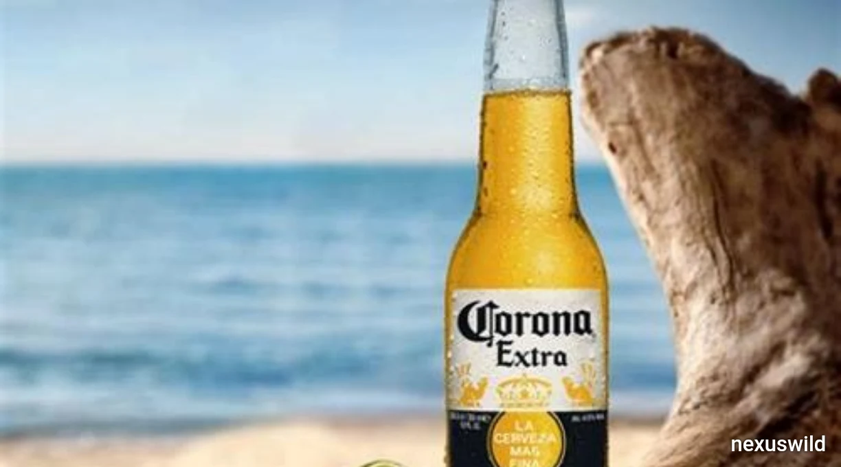 Corona Tops YouGov’s US Beer Popularity Ranking, Ahead of Guinness and Budweiser