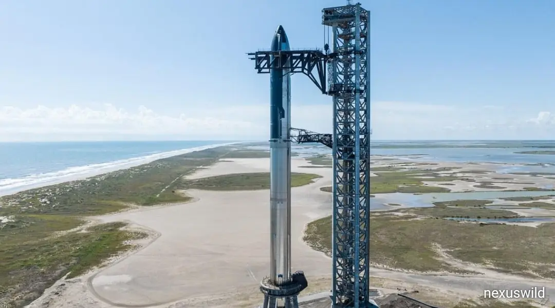 SpaceX Q3 Revenue Jumps 161% to $14.6 Billion as AI Business Expands