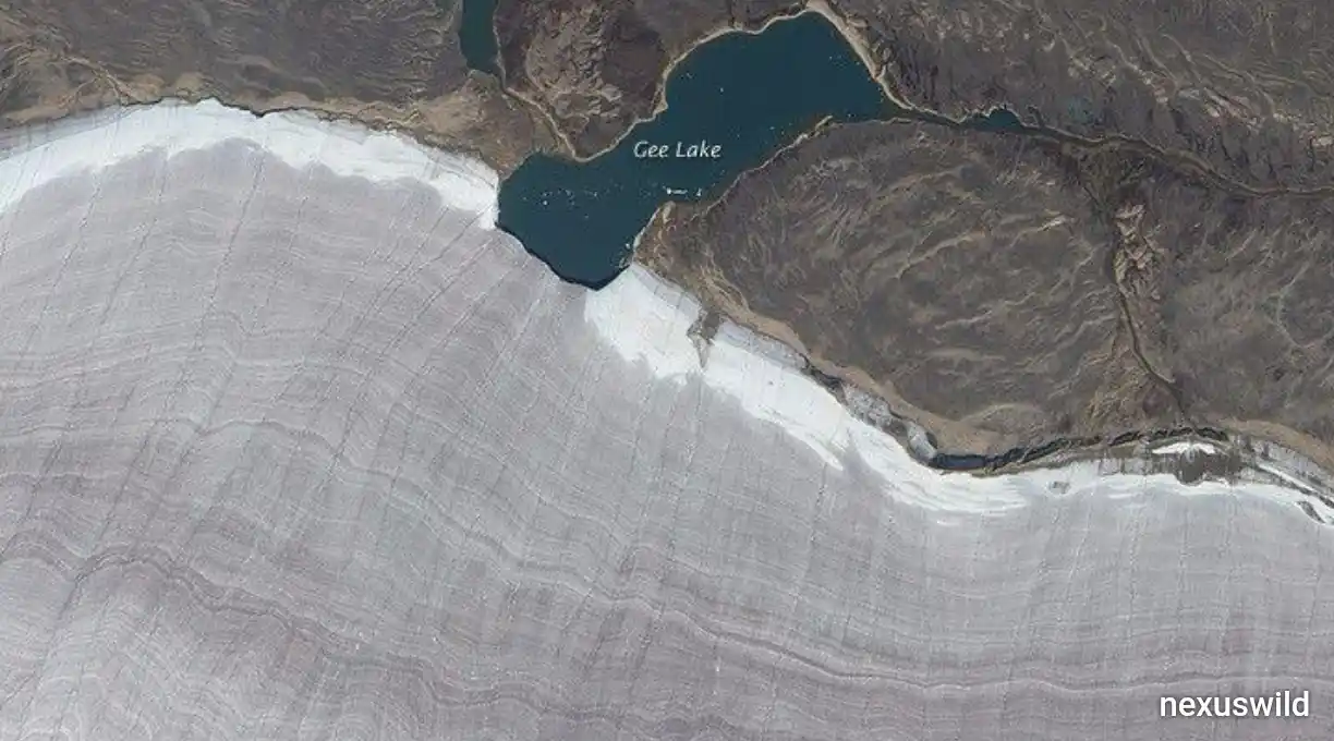 Barnes Ice Cap Study Finds Ancient Ice Advance Reversed by Modern Warming