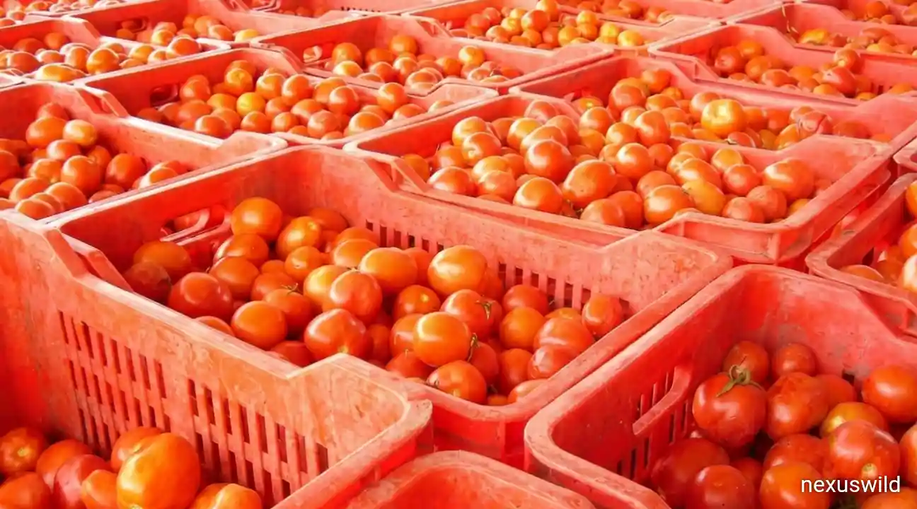 Post-Harvest Food Losses and Global Food Prices